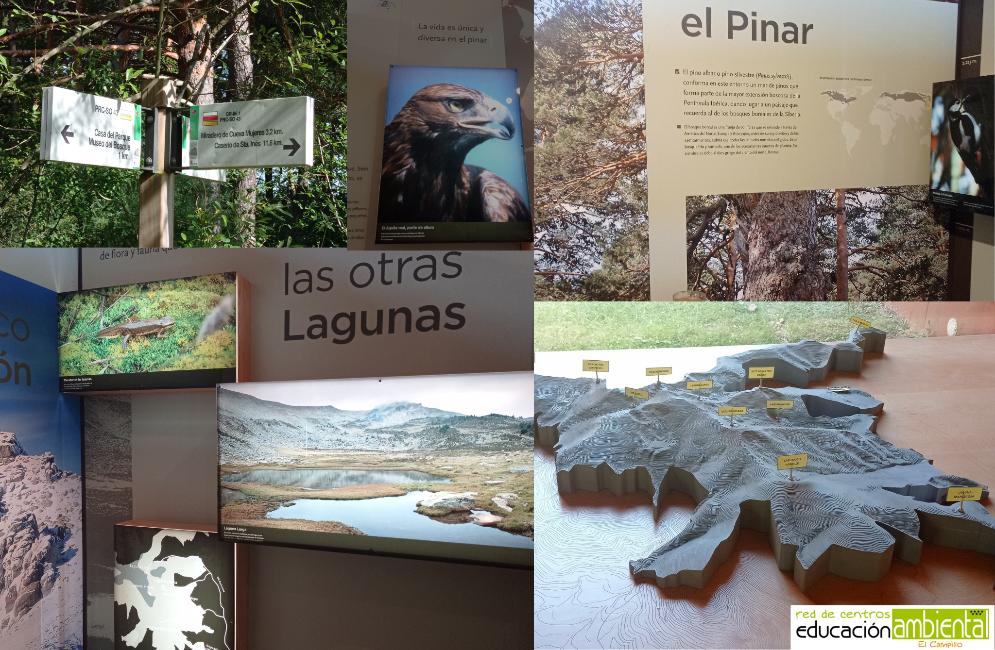 Casa del Parque de la Laguna Negra y Museo Del Bosque | EL CAMPILLO